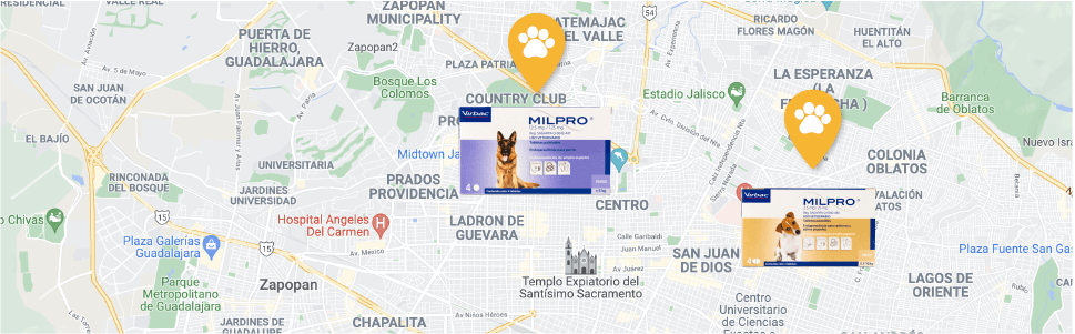 Encuentra el producto en la clínica veterinaria más cercana